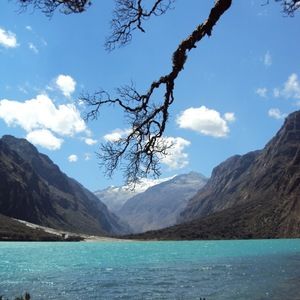 Meet your Posher, Aliya